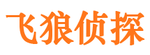 四平侦探